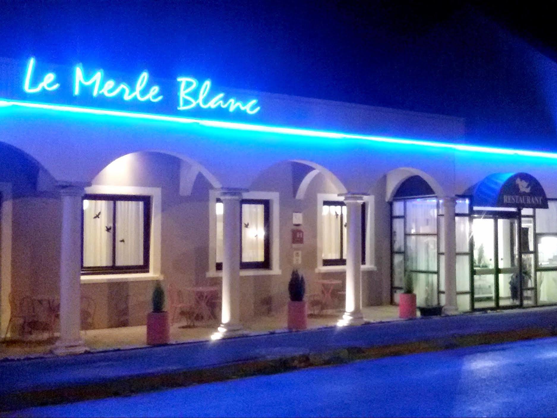 Le Merle Blanc Hotel Logis Digoin Exterior photo